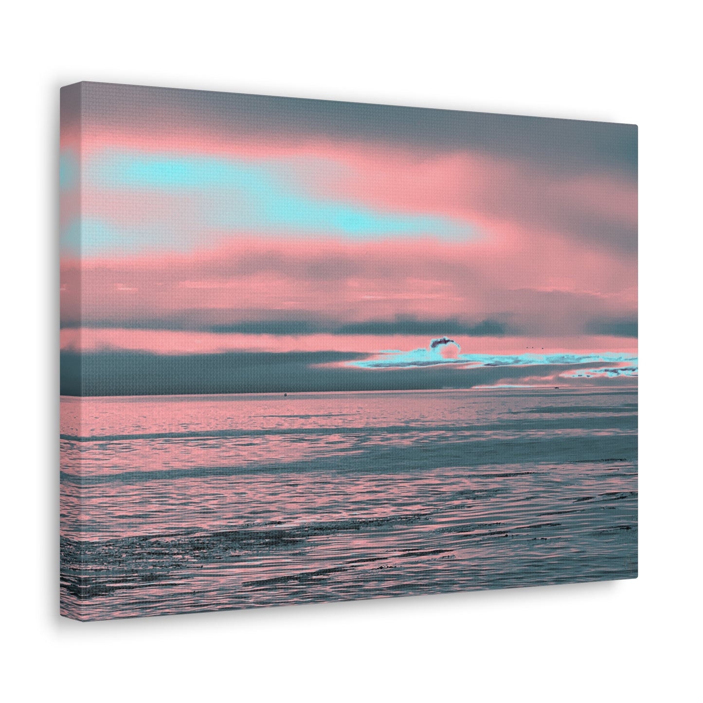 In the Distance Canvas Print
