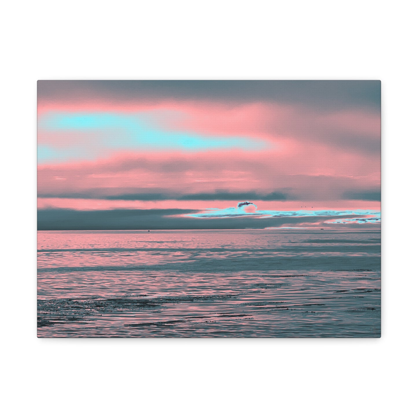 In the Distance Canvas Print