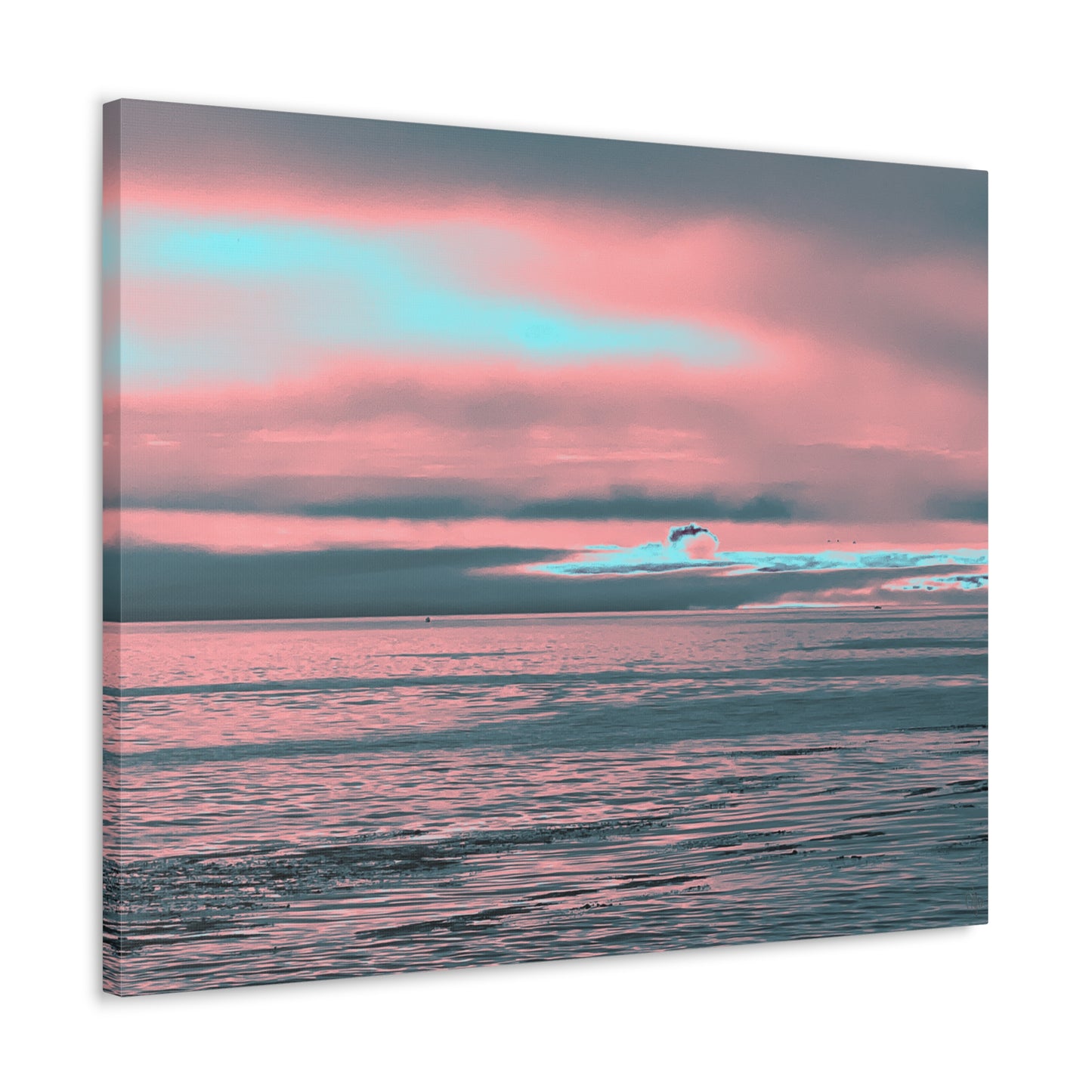In the Distance Canvas Print