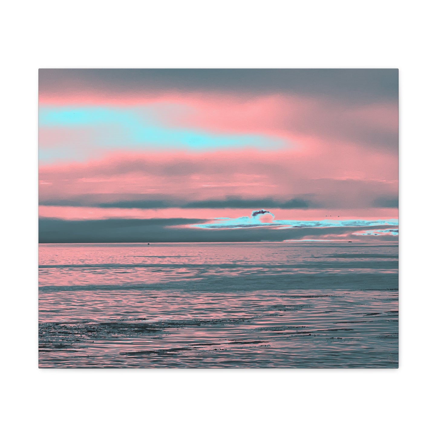 In the Distance Canvas Print