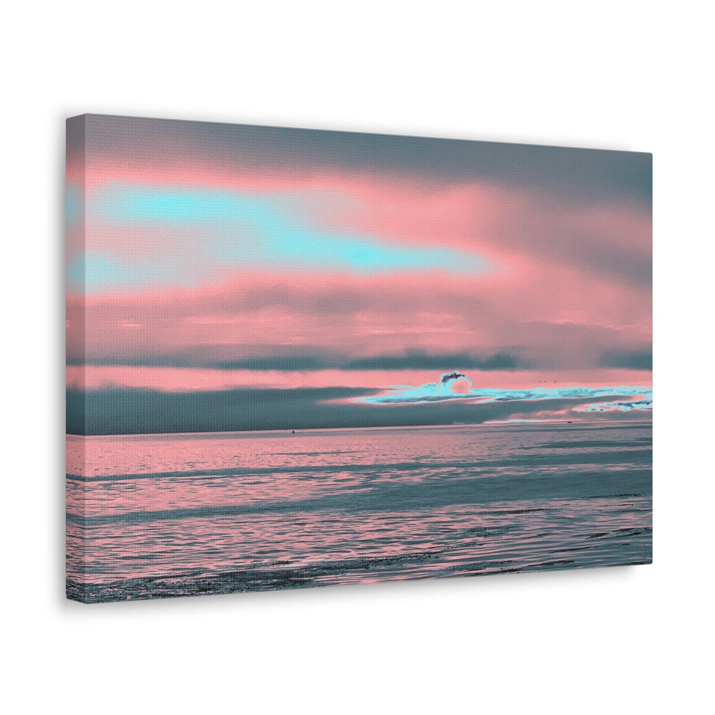 In the Distance Canvas Print
