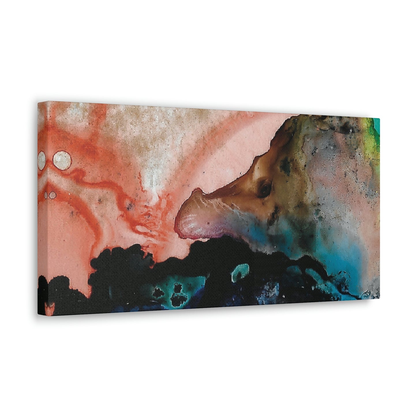Inner Space 14 Canvas Print - Alja Design